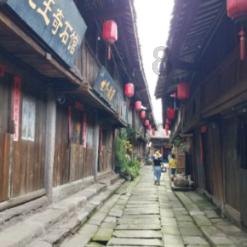 小猫钓鱼正版下载中文版